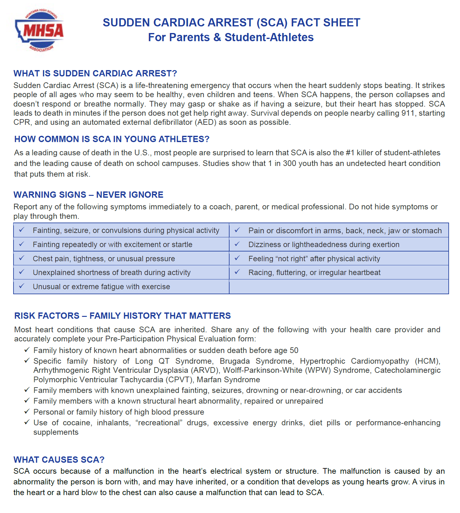 Concussion and SCA 1.png