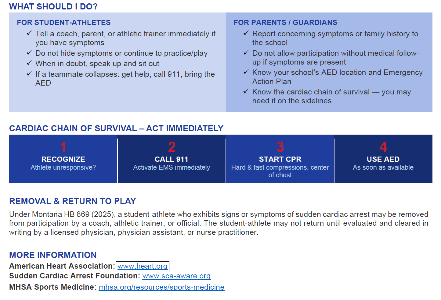 Concussion and SCA 2.png