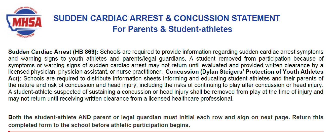 Concussion and SCA 5.png