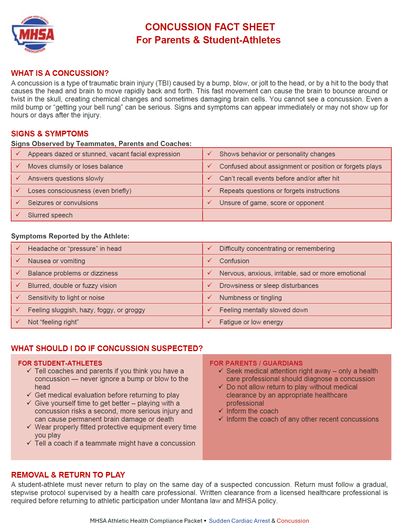 Concussion and SCA 3.png